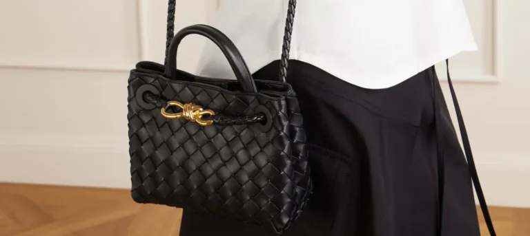 Bottega Veneta Small Andiamo Cover Image