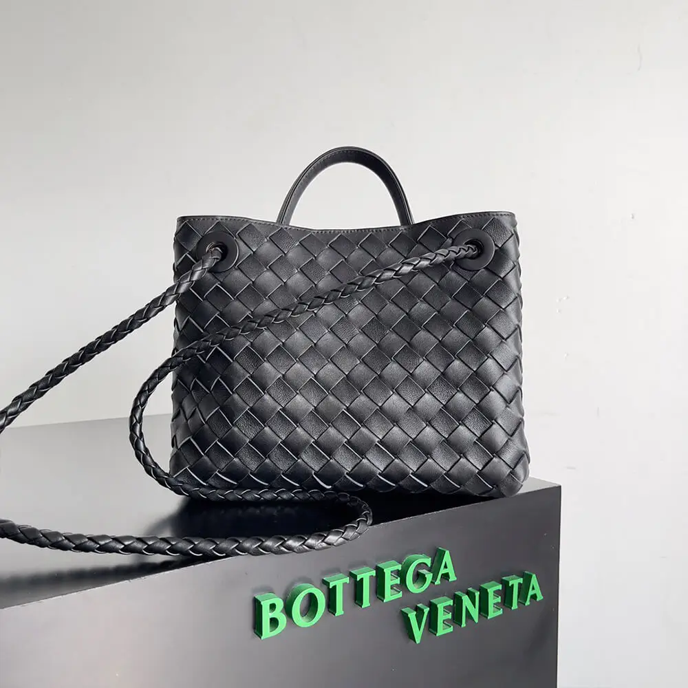 Bottega Veneta Small Andiamo—Rear View