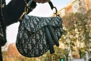 Dior Saddle Bag
