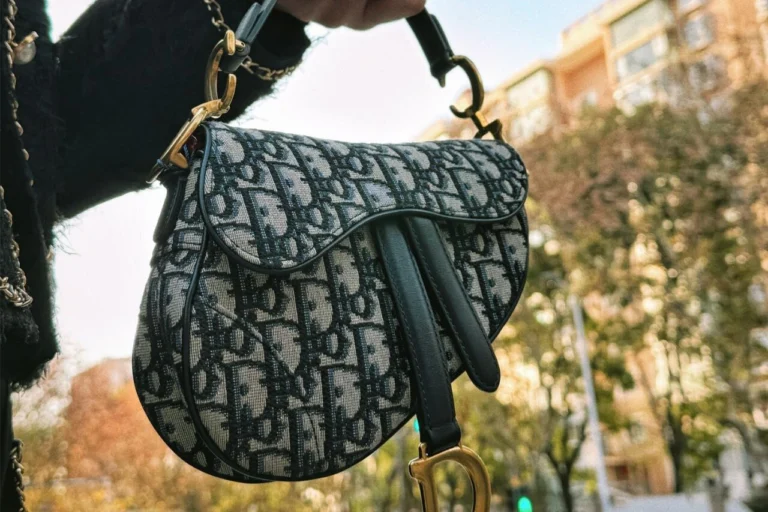 Dior Saddle Bag
