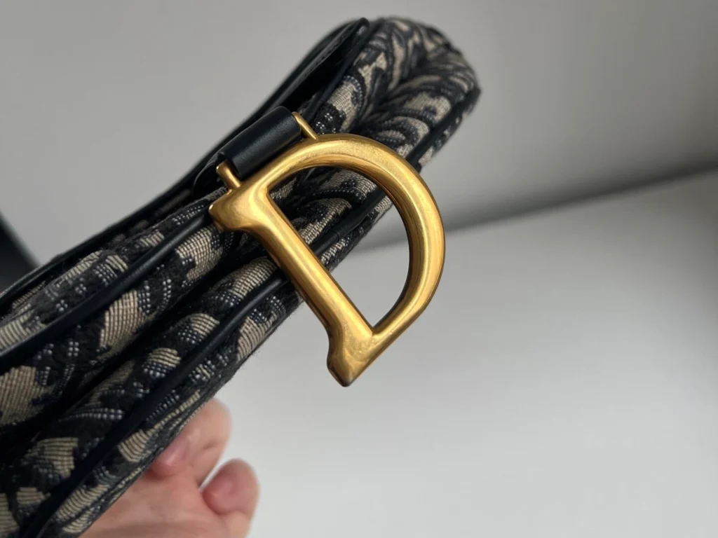 Dior Saddle 2