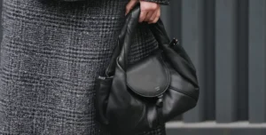 Fendi Spy Bag Cover Image