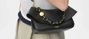 Loewe Medium Ola Bag in smooth calfskin—Cover Image