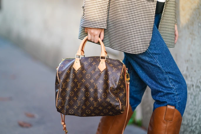 lv purse speedy